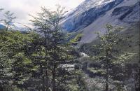 078_Torres del Paine